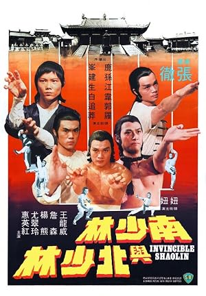 Invincible Shaolin 1978 Hindi Dual Audio 480p BluRay 300MB